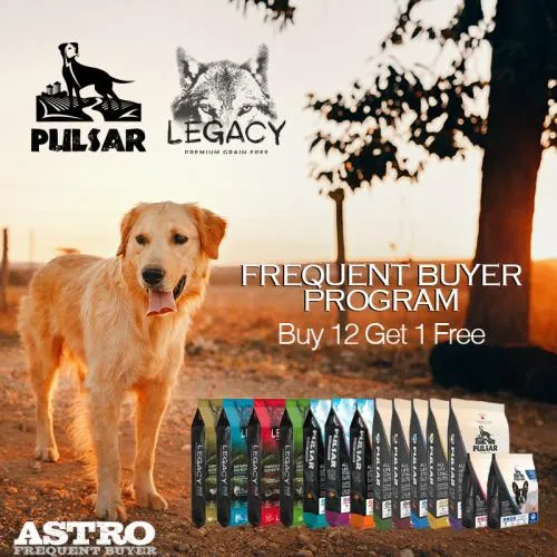 Promotion Image