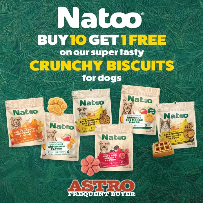 Promotion Image